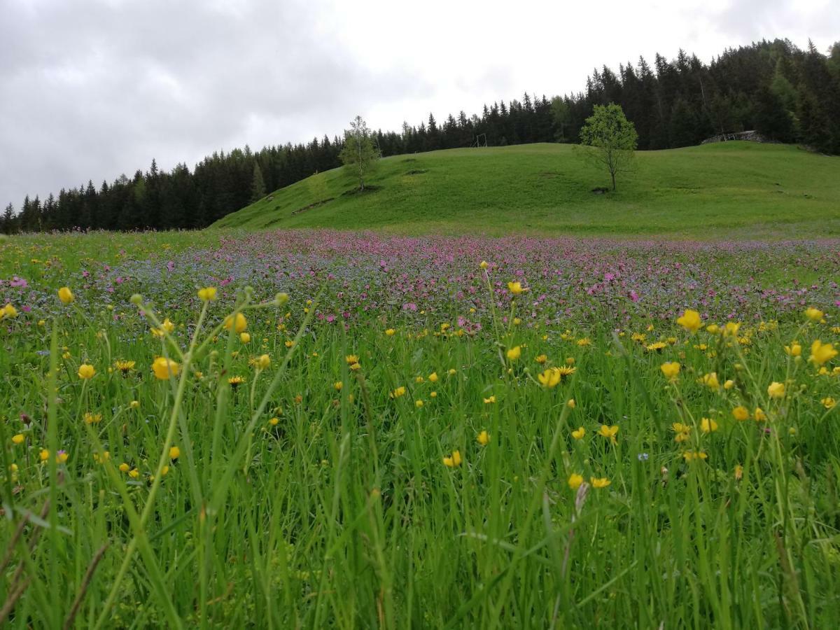Goserhof Innervillgraten Exteriér fotografie